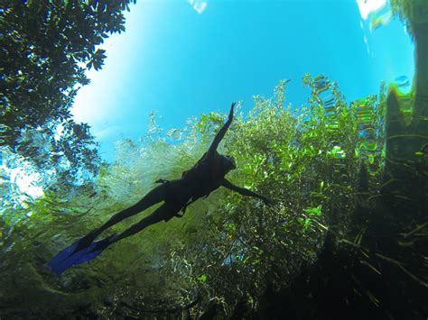 Dive into an Underwater Paradise: Snorkeling Adventure in Cenotes and Lagoons
